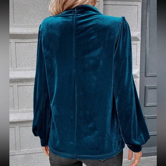 Luxe Velvet Cowl Neck Top Blouse Shirt - Picture 2 of 16